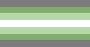 grayromantic flag