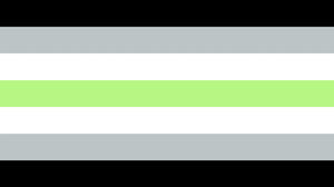 agender flag